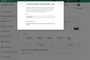 PIN e link di accesso.png