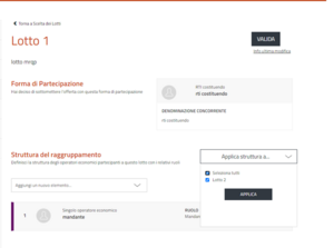 Applica struttura raggruppamento a più Lotti