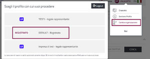 Cambia Organizzazione.png
