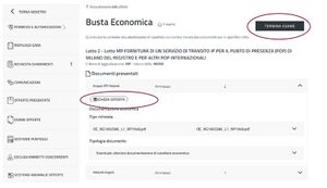 Doc Busta Economica.jpg